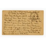 Graf Zeppelin, 1928. card from Brooklyn to Friedrichshafen (366)