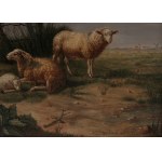 Summer landscape with sheep family