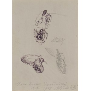 Butterfly wings in Maximilian Švabinský's paintings