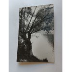 PHOTO OF AUGER LAKE, STAMP