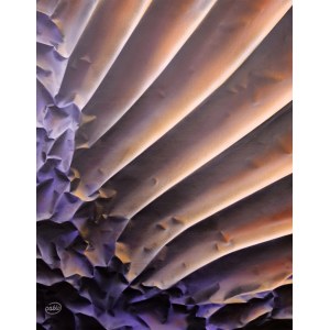 Paweł BIENKIEWICZ (ur. 1962), Palea Spectralis, z cyklu: Vibrations Of The Universe, 2025