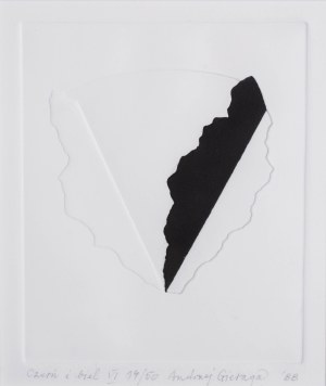 Andrzej Gieraga (ur. 1934), Czerń i biel VI, 1988
