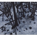 Jerzy Skolimowski (ur. 1938), 