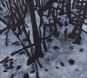 Jerzy Skolimowski (ur. 1938), 