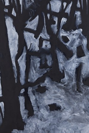 Jerzy Skolimowski (ur. 1938), 