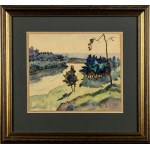 Adam Międzybłocki, Vilnius Landscape