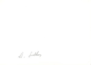 Antanas Sutkus, Vilniaus senamiestis