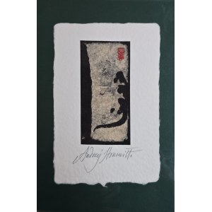 Andrzej Strumillo (1927-2020), Latin Cat
