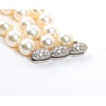 TIFFANY & CO. 