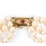 Pearl ruby emerald enamel gold necklace -