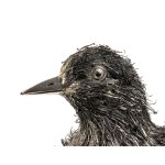 Solid silver blackbird - Italy, 20th century