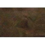 Józef Chelmonski (1849-1914), Dawn, 1911 (Poranek, Ranek, Świtanie, Zachód)