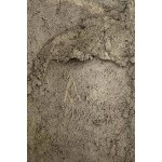Magdalena Abakanowicz (1930-2017), Postava, 2008