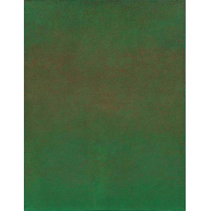 Stefan Gierowski (1925-2022), CCCCXLVIII, 1979