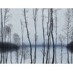 Rafal Borcz (born 1973), January, 2010