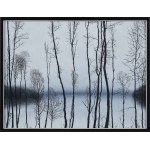 Rafal Borcz (born 1973), January, 2010