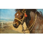 Jerzy POTRZEBOWSKI (1921 - 1974), Study of the Horse