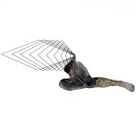 Michal Malinowski, Echoes of Your Body, 2025