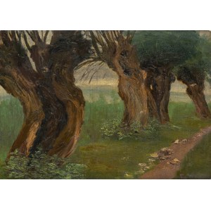 Zefiryn Ćwikliński (1871 Lvov - 1930 Zakopané), Wierzby