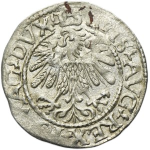 Sigismund II August, 1/2 Groschen Vilnius 1559 - L/LITV