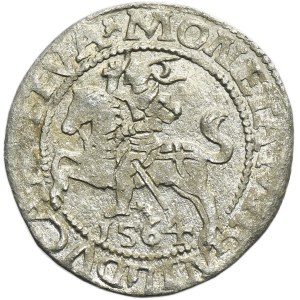 Sigismund II August, 1/2 Groschen Vilnius 1564 - L/LITVA
