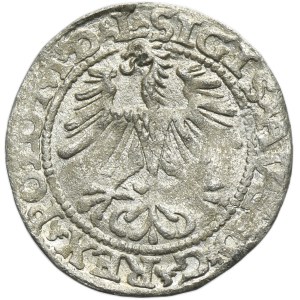 Sigismund II August, 1/2 Groschen Vilnius 1564 - L/LITVA