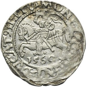 Sigismondo II Augusto, mezzo penny Vilnius 1560 - L/LITV