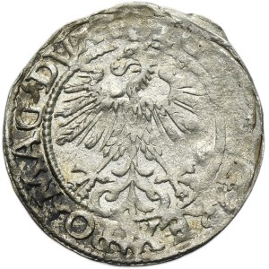 Sigismondo II Augusto, mezzo penny Vilnius 1560 - L/LITV