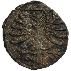 Sigismund I the Old, Denarius Danzig undated