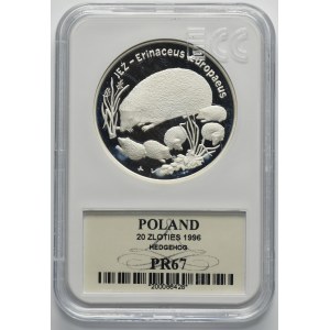 20 Gold 1996 Hedgehog