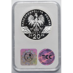20 Gold 2007 Graues Siegel