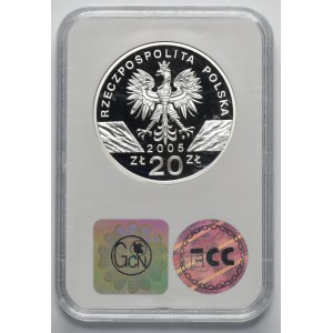 20 Gold 2005 Puchacz