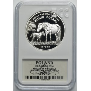 20 gold 2014 Polish horse