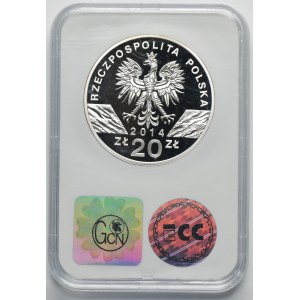 20 gold 2014 Polish horse