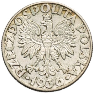 Veliero, 5 ori 1936