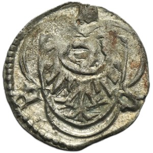 Slesia, Ducato di Legnico-Brzeskie, Ludovico II di Brzeg, Halerz Brzeg - RZADKI