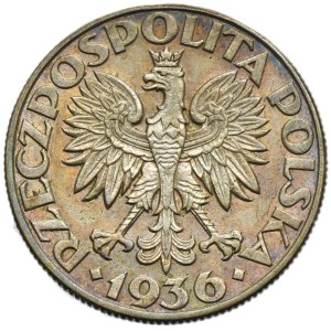 Voilier, 5 or 1936