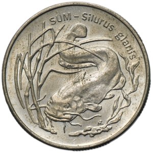 2 Gold 1995 Sum