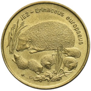 2 or 1996 Hedgehog