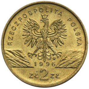 2 or 1996 Hedgehog