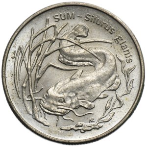 2 Gold 1995 Sum