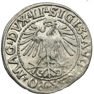 Sigismund II August, 1/2 Groschen Vilnius 1548 - LI/LITVA