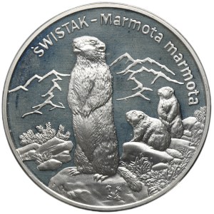 20 Gold 2006 Swistak