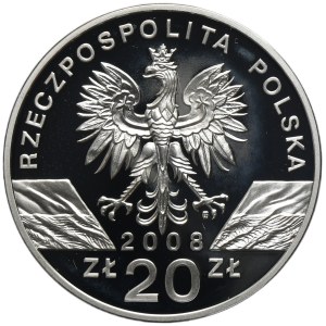 20 Oro 2008 Falcon