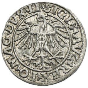 Sigismund II August, 1/2 Groschen Vilnius 1551 - LI/LITVA