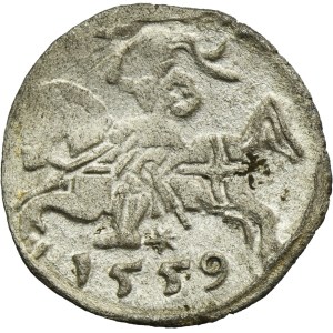 Sigismund II. Augustus, Vilnius-Denar 1559