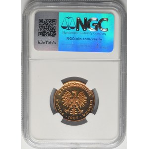 5 gold 1987 - NGC PF67 ULTRA CAMEO - LUSTRANSKA.