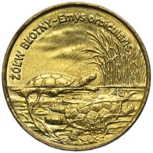 2 gold 2002 Mud turtle