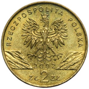 2 gold 2002 Mud turtle