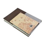 Set, Clasper (x2) with 2 Gold GOLD NORDIC coins (315 pieces).